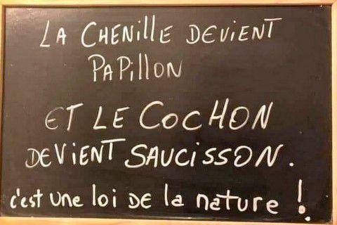 Citation bien française.